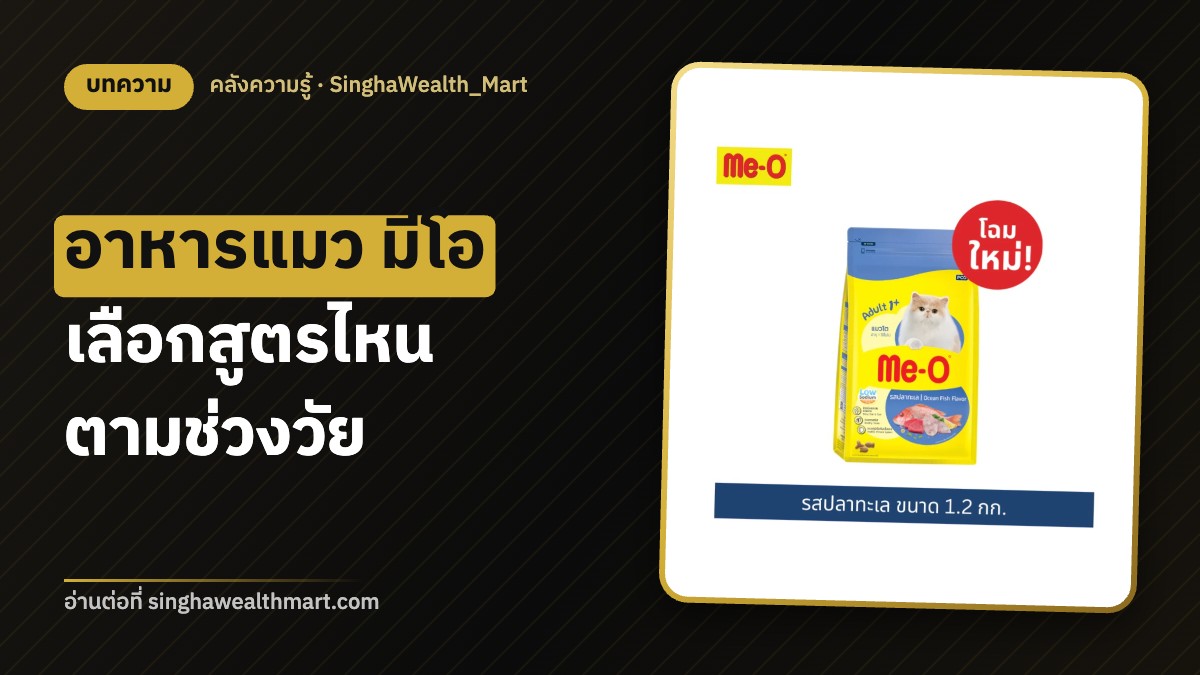 อาหารแมว Me-O เลือกสูตรไหนดี ตามช่วงวัย ลูกแมว แมวโต แมวสูงวัย