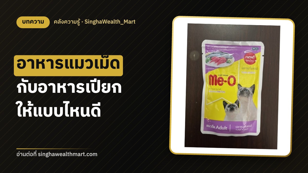 อาหารแมวเม็ดกับอาหารเปียก ให้แบบไหนดี ให้ร่วมกันได้ไหม